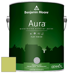 Benjamin Moore Aura 629 Waterborne Exterior Flat Finish краска цвет 2028-40 Pear Green