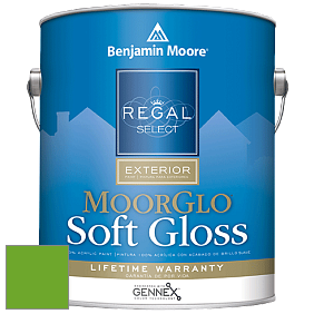 Benjamin Moore W096 Regal Select Exterior Paint-Moor GloSoft Gloss Finish краска цвет 2030-20 Tropical Seaweed Green