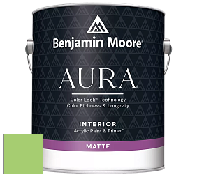 Benjamin Moore Aura 522 Interior Paint - Matte краска цвет 2030-40 Spring Leaf