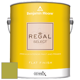Benjamin Moore 547 Regal Select Waterborne Interior Flat Finish краска цвет NCS S 2060-G60Y 