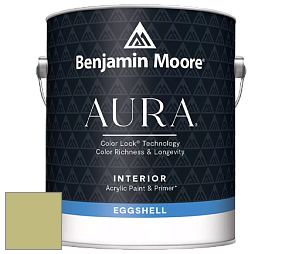 Benjamin Moore Aura 524 Waterborne Interior Eggshell Finish краска цвет NCS S 2030-G70Y 