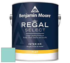 Benjamin Moore 547 Regal Select Waterborne Interior Flat Finish краска цвет NCS S 1030-B60G 