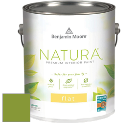 Benjamin Moore 512 Natura Interior Flat Finish матовая краска цвет NCS S 2070-G40Y 