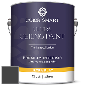COLOR SMART CS 758 ULTRA CEILING PAINT ультраматовая краска цвет 2133-10 Onyx