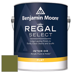 Benjamin Moore 547 Regal Select Waterborne Interior Flat Finish краска цвет NCS S 4550-G50Y 