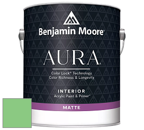 Benjamin Moore Aura 522 Interior Paint - Matte краска цвет 2033-40 Lime Tart