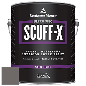 Benjamin Moore 484 Ultra Spec SCUFF-X Interior Matte Finish краска цвет NCS S 6502-Y80R 