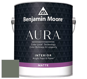 Benjamin Moore Aura 522 Interior Paint - Matte краска цвет NCS S 6010-G30Y 
