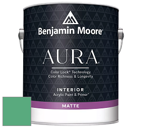 Benjamin Moore Aura 522 Interior Paint - Matte краска цвет NCS S 2050-G 
