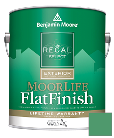 Краска Regal Select Exterior Paint-MoorLife Flat Finish (W105) цвет 2038-30 Prairie Green