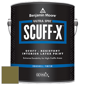 Benjamin Moore 485 Ultra Spec SCUFF-X Interior Eggshell Finish краска цвет NCS S 5040-G70Y 