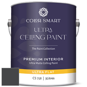 COLOR SMART CS 758 ULTRA CEILING PAINT ультраматовая краска цвет 2126-10 Black Tar