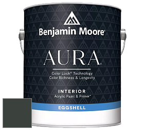 Benjamin Moore Aura 524 Waterborne Interior Eggshell Finish краска цвет NCS S 8505-G 
