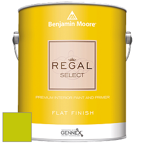 Benjamin Moore 547 Regal Select Waterborne Interior Flat Finish краска цвет 2026-30 Snow Cone Green