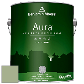 Benjamin Moore Aura 629 Waterborne Exterior Flat Finish краска цвет AF-450 