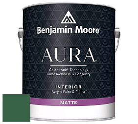 Benjamin Moore Aura 522 Interior Paint - Matte краска цвет 2040-10 Rainforest Foliage