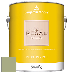 Benjamin Moore 547 Regal Select Waterborne Interior Flat Finish краска цвет NCS S 3020-G50Y 