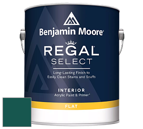 Benjamin Moore 547 Regal Select Waterborne Interior Flat Finish краска цвет NCS S 6035-B60G 