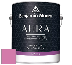 Benjamin Moore Aura 522 Interior Paint - Matte краска цвет 2079-40 Springtime Bloom