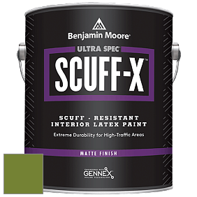 Benjamin Moore 484 Ultra Spec SCUFF-X Interior Matte Finish краска цвет NCS S 3065-G40Y 