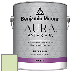 Benjamin Moore Aura 532 Bath & Spa Waterborne Interior Paint Matte Finish краска цвет 423 Pine Sprigs