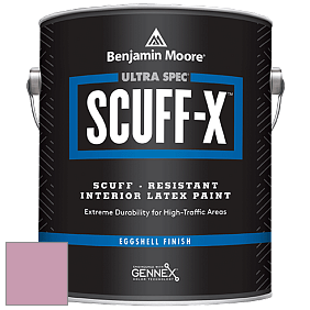 Benjamin Moore 485 Ultra Spec SCUFF-X Interior Eggshell Finish краска цвет NCS S 2030-R30B 