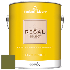 Benjamin Moore 547 Regal Select Waterborne Interior Flat Finish краска цвет NCS S 4550-G50Y 