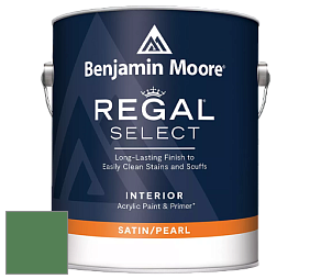 Benjamin Moore 550 Regal Select Waterborne Interior Pearl Finish краска цвет 2036-20 Irish Moss
