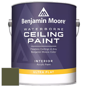 Benjamin Moore 508 Waterborne Ceiling Paint краска для потолков цвет NCS S 6530-G50Y 