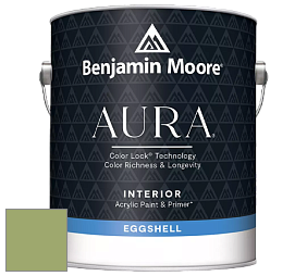 Benjamin Moore Aura 524 Waterborne Interior Eggshell Finish краска цвет 544 Kiwi