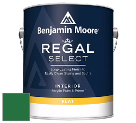 Benjamin Moore 547 Regal Select Waterborne Interior Flat Finish краска цвет NCS S 3560-G10Y 