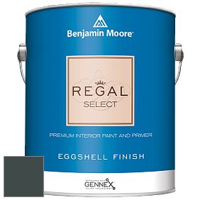Benjamin Moore 549 Regal Select Waterborne Interior Eggshell Finish краска цвет 2050-10 Salamander
