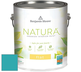 Benjamin Moore 512 Natura Interior Flat Finish матовая краска цвет NCS S 2050-B30G 