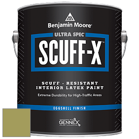 Benjamin Moore 485 Ultra Spec SCUFF-X Interior Eggshell Finish краска цвет NCS S 3040-G60Y 