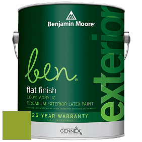 Benjamin Moore Ben 541 Waterborne Exterior Flat Finish краска цвет 2028-20 Douglas Fir