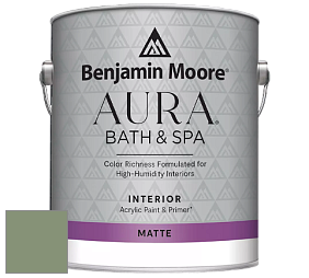 Benjamin Moore Aura 532 Bath & Spa Waterborne Interior Paint Matte Finish краска цвет NCS S 4020-G30Y 