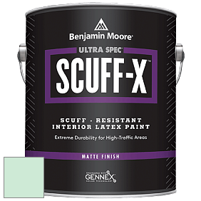 Benjamin Moore 484 Ultra Spec SCUFF-X Interior Matte Finish краска цвет 2036-60 Surf Green