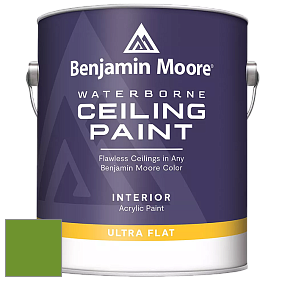 Benjamin Moore 508 Waterborne Ceiling Paint краска для потолков цвет 2029-10 Basil Green