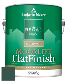 Benjamin Moore W105 Regal Select Exterior Paint-MoorLife Flat Finish краска цвет 2047-10 Forest Green