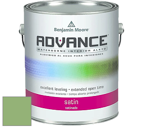 Benjamin Moore 792 Advance Interior Paint-Satin эмаль цвет NCS S 2040-G30Y 