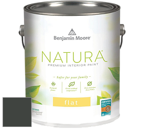 Benjamin Moore 512 Natura Interior Flat Finish матовая краска цвет NCS S 8505-G20Y 