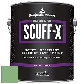Benjamin Moore 484 Ultra Spec SCUFF-X Interior Matte Finish краска цвет NCS S 2040-G20Y 