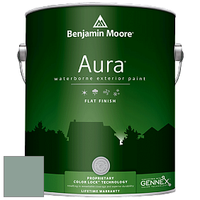 Benjamin Moore Aura 629 Waterborne Exterior Flat Finish краска цвет AF-495 