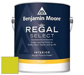 Benjamin Moore 547 Regal Select Waterborne Interior Flat Finish краска цвет NCS S 0575-G60Y 