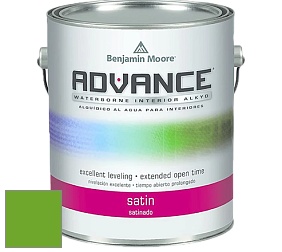 Benjamin Moore 792 Advance Interior Paint-Satin эмаль цвет 2030-20 Tropical Seaweed Green