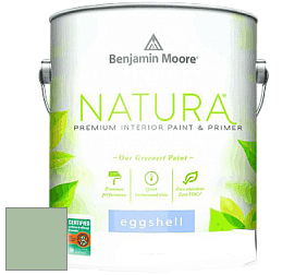 Benjamin Moore 513 Natura Interior Eggshell Finish краска с блеском цвет NCS S 2020-G20Y 