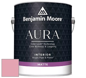 Benjamin Moore Aura 522 Interior Paint - Matte краска цвет 2007-50 Supple Pink