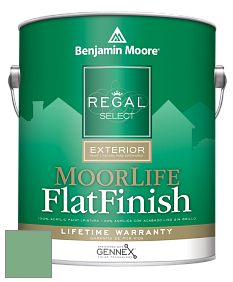 Benjamin Moore W105 Regal Select Exterior Paint-MoorLife Flat Finish краска цвет 2035-40 Stokes Forest Green