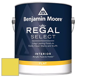 Benjamin Moore 547 Regal Select Waterborne Interior Flat Finish краска цвет NCS S 0560-G80Y 