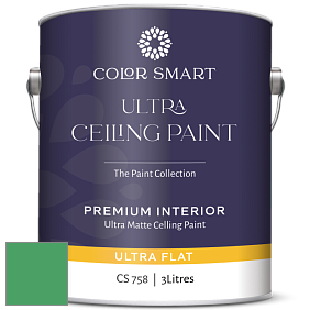 COLOR SMART CS 758 ULTRA CEILING PAINT ультраматовая краска цвет NCS S 2060-G10Y 